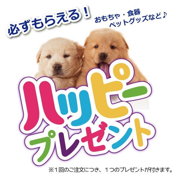 犬 おもちゃ オモチャ ぬいぐるみ スクィーカー 小型犬 プラッツ Platz Gigwi ヘビーパンチ グローブ S Gw8036 Free Bird Yahoo 店 通販 Yahoo ショッピング