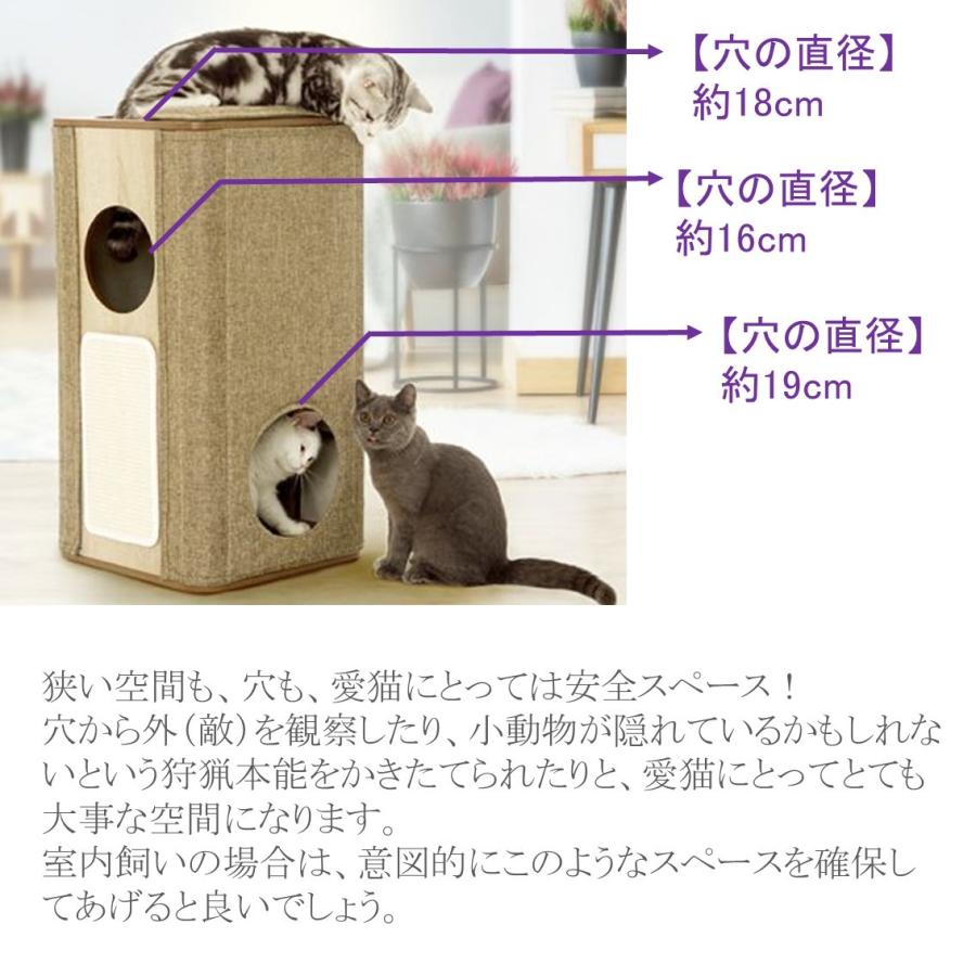 最も人気があります ルル Cm 猫 100 で最高の画像
