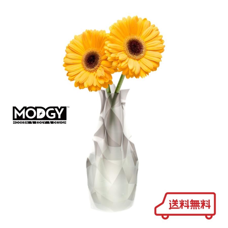 花瓶 フラワーベース ギフト おしゃれ インテリア ウーバーイーツ ディナー フリーバード Modgy クリスタル Mo Mv6141 Free Bird Yahoo 店 通販 Yahoo ショッピング