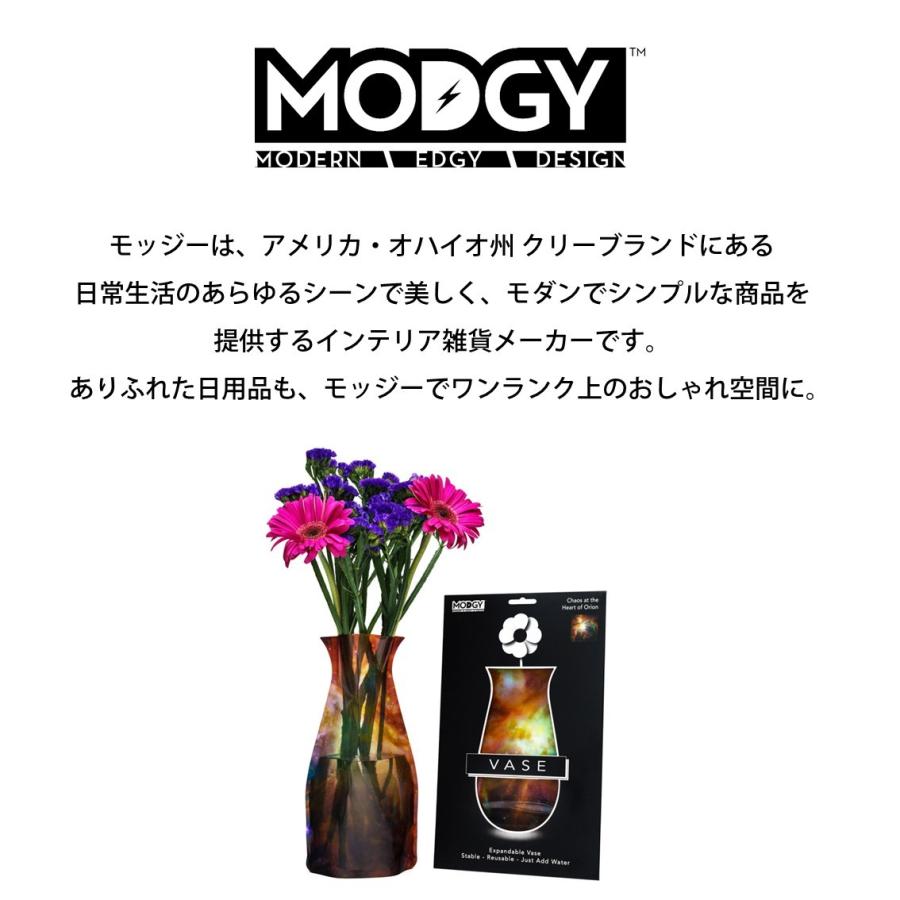 花瓶 フラワーベース ギフト おしゃれ インテリア ウーバーイーツ ディナー フリーバード Modgy 神奈川沖波裏 北斎 Mo Mv6164 Free Bird Yahoo 店 通販 Yahoo ショッピング