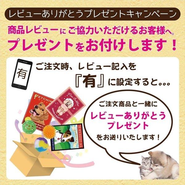 猫用 またたびの粉 Mr298 Free Bird Yahoo 店 通販 Yahoo ショッピング