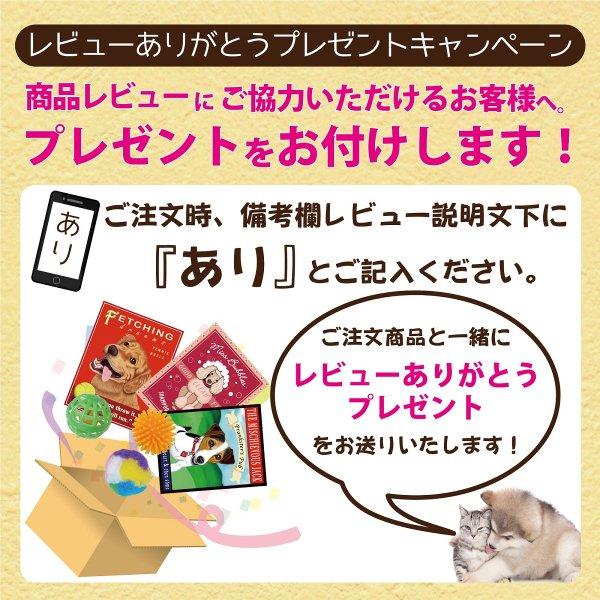 犬 おもちゃ オモチャ ぬいぐるみ スクィーカー 小型犬 プラッツ Platz Babydog シーザー フォックス タグボール Ms Free Bird Yahoo 店 通販 Yahoo ショッピング