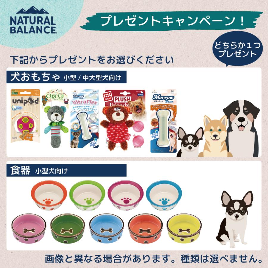 Natural Balance ドッグフード バイソン 22lbs Natural Balance スイートポテト＆バイソン 成犬用 - メルカリ