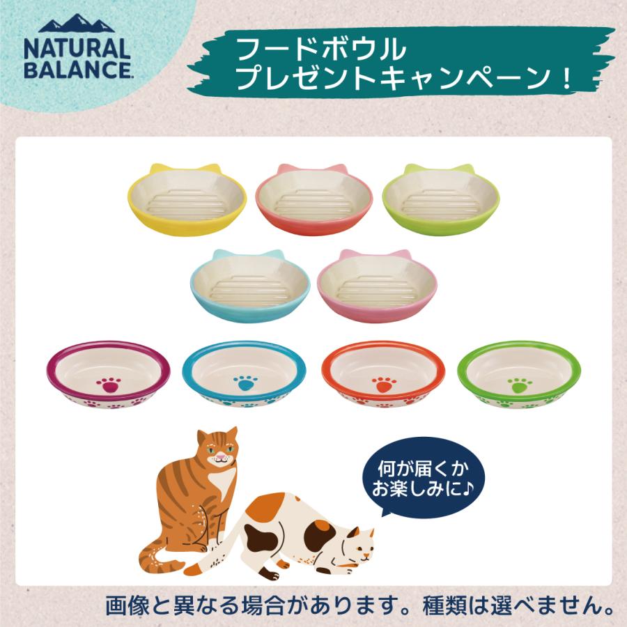 Natural Balance（ナチュラルバランス） 【キャンペーン実施中