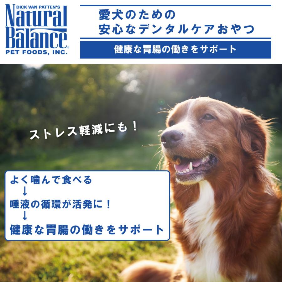 犬 おやつ 無添加 おすすめ 長持ち プレゼント 牛皮 ガム 中型犬 ナチュラルバランス ナチュラルチューイングボーン Mサイズ 5本入り｜freebirdcorp｜04