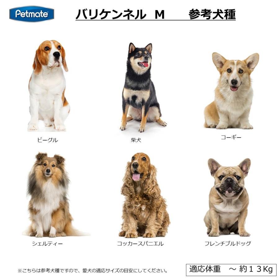 ペットケージ バリケンネル 航空機用 クレート ハウス キャリー 中型犬 0 M Jal Ana Iata スカイケンネル M Pm000 Free Bird Yahoo 店 通販 Yahoo ショッピング