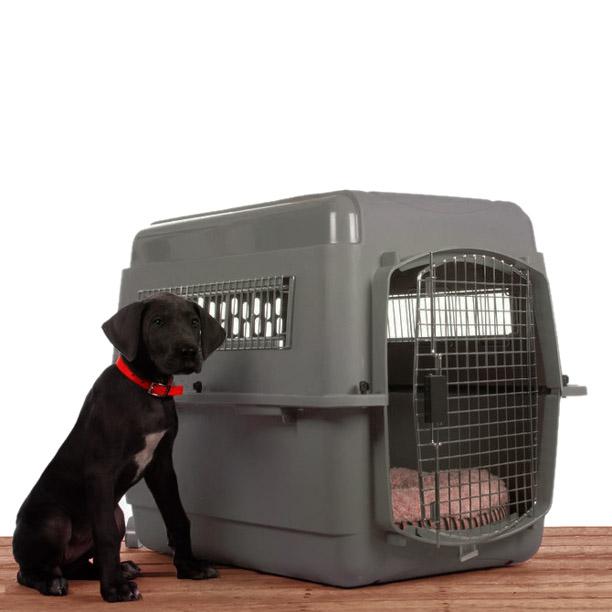 ペットケージ 旅行用 バリケンネル 航空機用 飛行機 クレート ハウス キャリー 中型犬 300 Ml Jal Ana Iata スカイケンネル Ml Pm Free Bird Yahoo 店 通販 Yahoo ショッピング