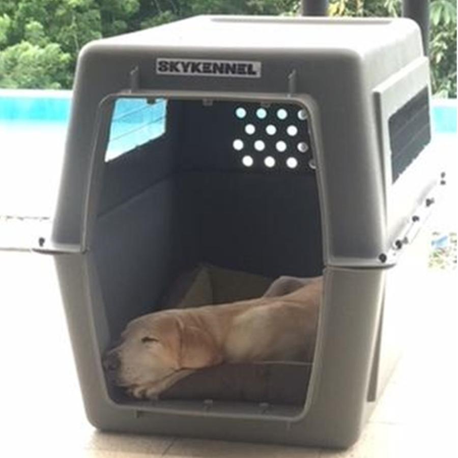キャリーケース クレート ハウス 大型犬 ペットメイト スカイケンネル ジャイアント 700g Petmate正規代理店 Pm Free Bird Yahoo 店 通販 Yahoo ショッピング