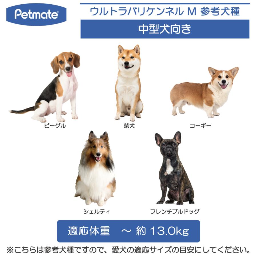 Petmate ハードキャリー 犬 クレート ハードクレート キャリー