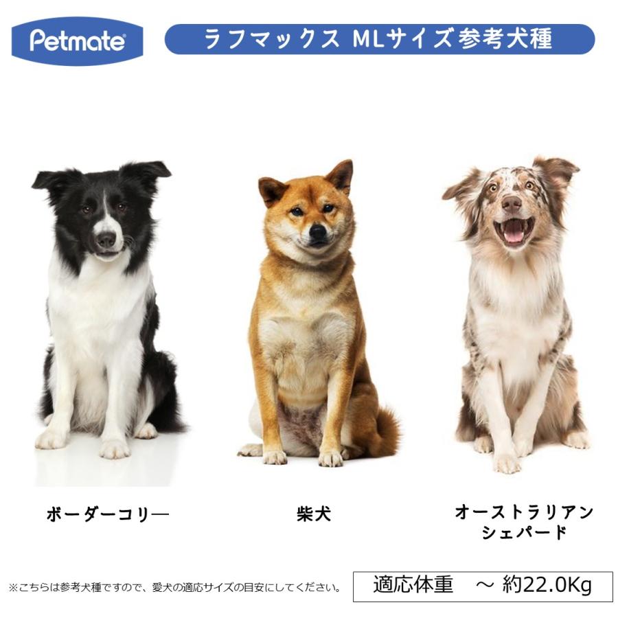 Petmate 犬 クレート ハードクレート キャリー キャリーケース バリ