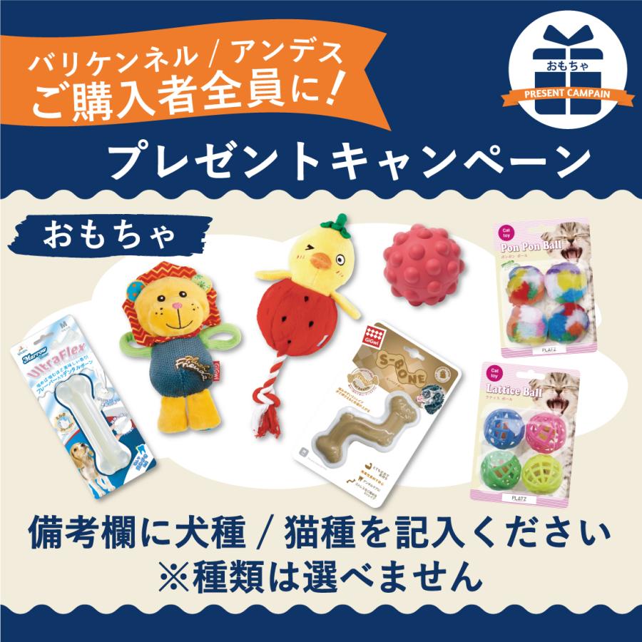 Petmate ペットケージ 旅行用 バリケンネル 飛行機 クレート ハウス