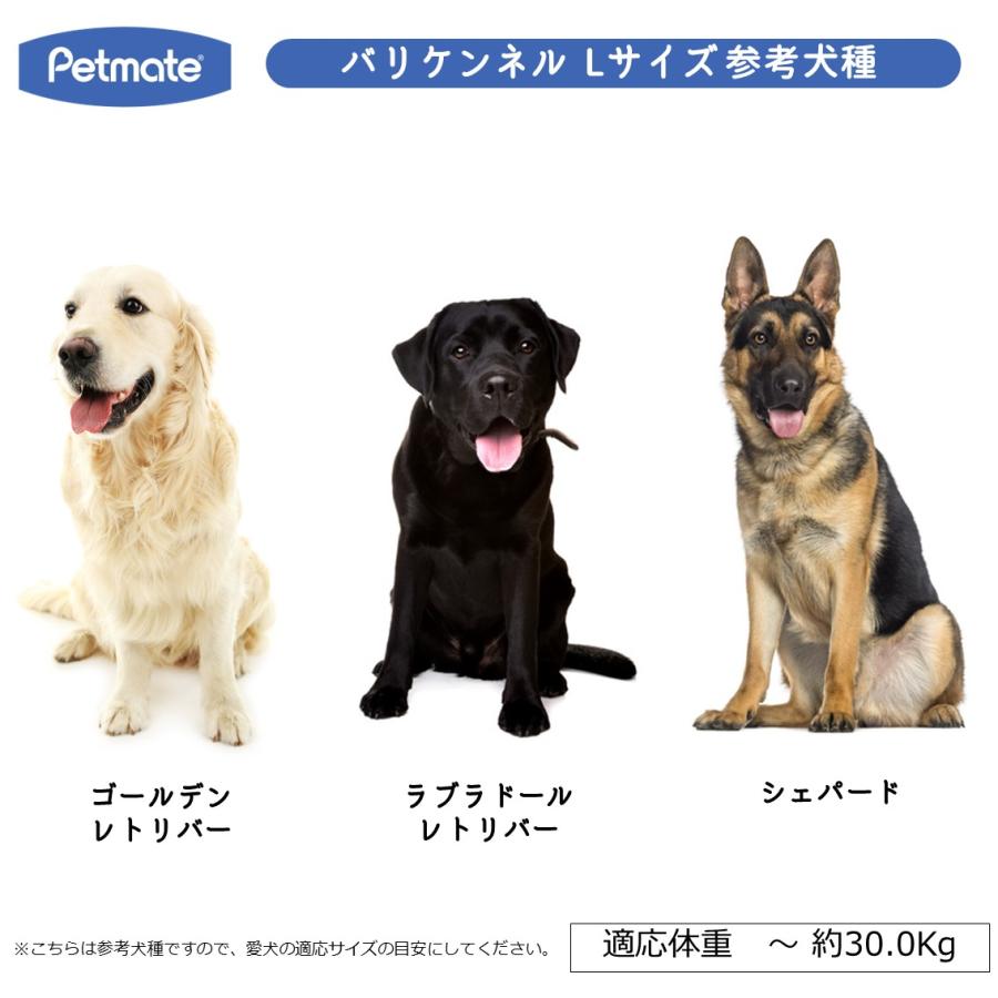Petmate ペットケージ 旅行用 バリケンネル 航空機用 飛行機 クレート