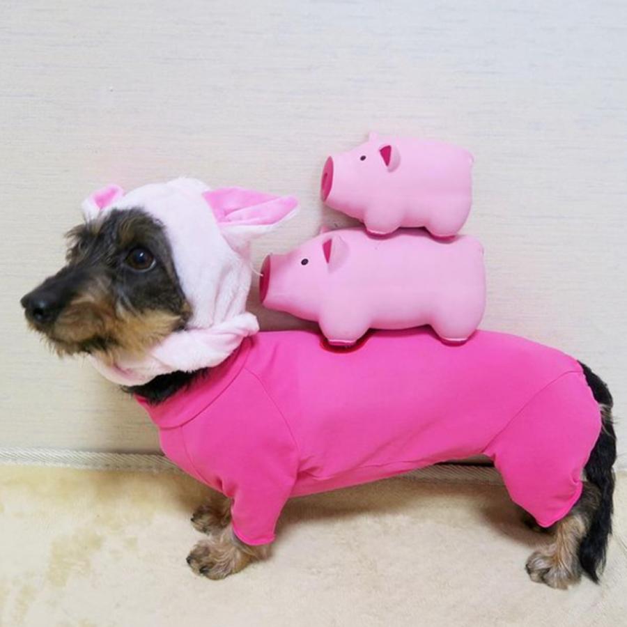 トイプー PLATZ 犬 おもちゃ ドッグトイ ラテックス ブタ スクイーカー