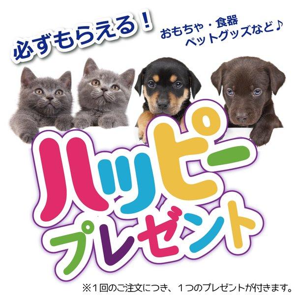 犬 おもちゃ オモチャ ぬいぐるみ スクィーカー 小型犬 プラッツ Platz ワンワン ブレックファースト バター Tc Free Bird Yahoo 店 通販 Yahoo ショッピング