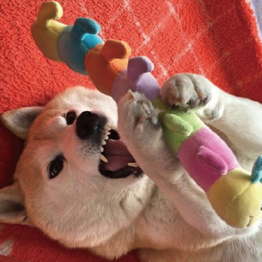 PLATZ（ペット） ぬいぐるみ いも虫 おもちゃ やわらかい スクイーカー