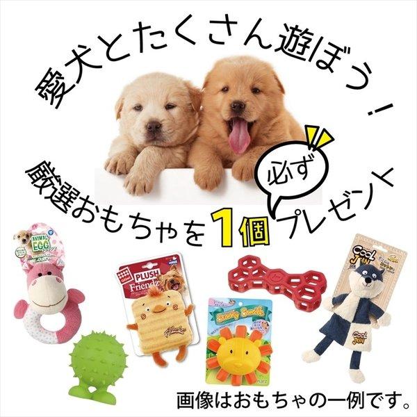 犬おもちゃ やわらかトーイ やわらかゴム ピーピー鳴る スニーカー プラッツ Platz ワンズスニーカー ピンク Wi034 Free Bird Yahoo 店 通販 Yahoo ショッピング