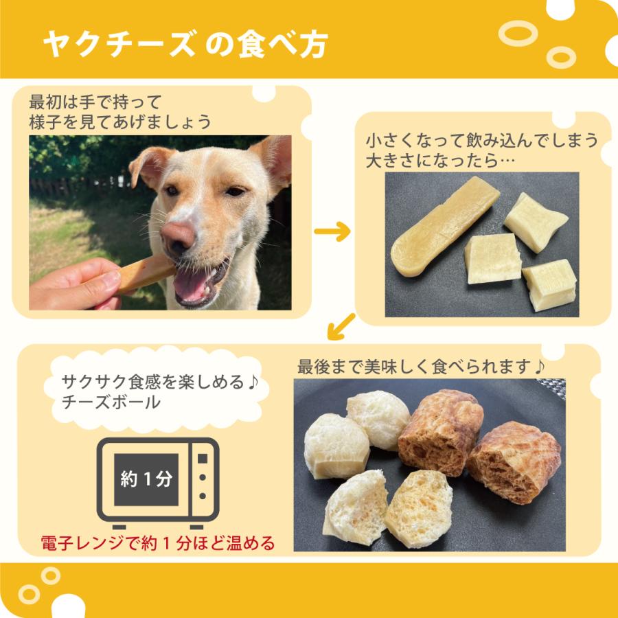 小型犬 犬おやつ デンタルトイ ヒマラヤ ヤクチーズ スティック