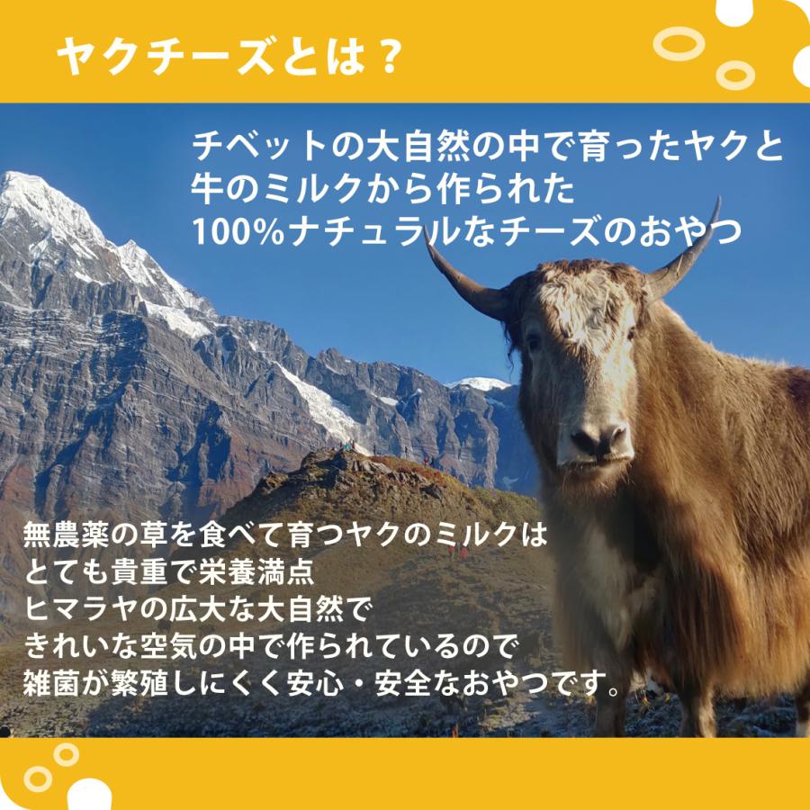 大型犬 犬おやつ デンタルトイ ヒマラヤ ヤクチーズ スティック