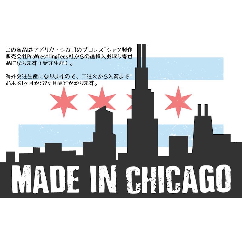 並行輸入品】AEW 竹下幸之介 KONOSUKE TAKESHITA DEMON ALPHA トライ