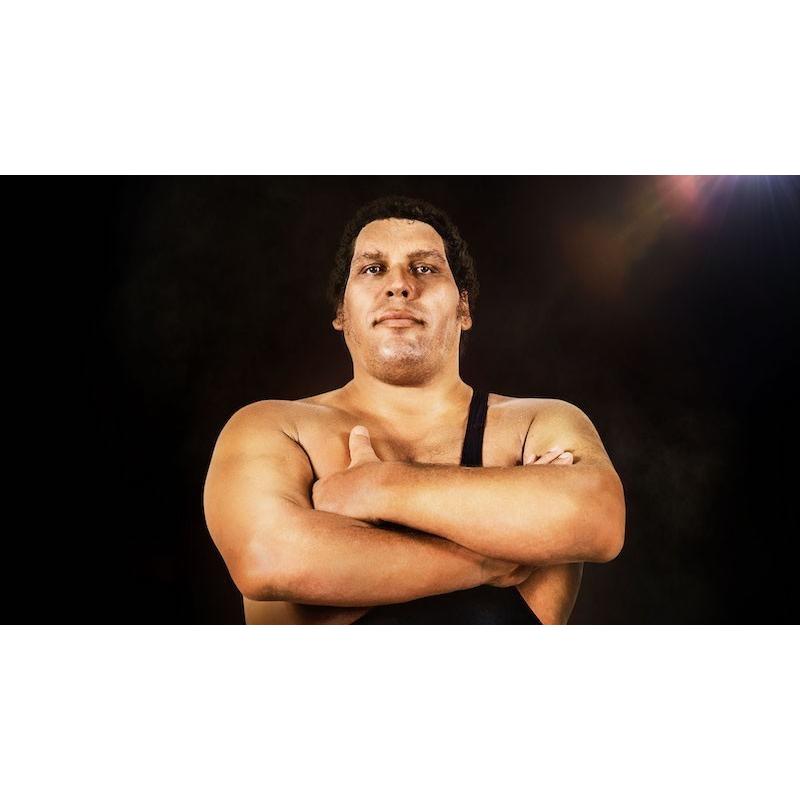 大巨人” アンドレ・ザ・ジャイアント Tシャツ「ANDRE THE GIANT 大巨人” アンドレ・ザ・ジャイアント Tシャツ「ANDRE THE GIANT