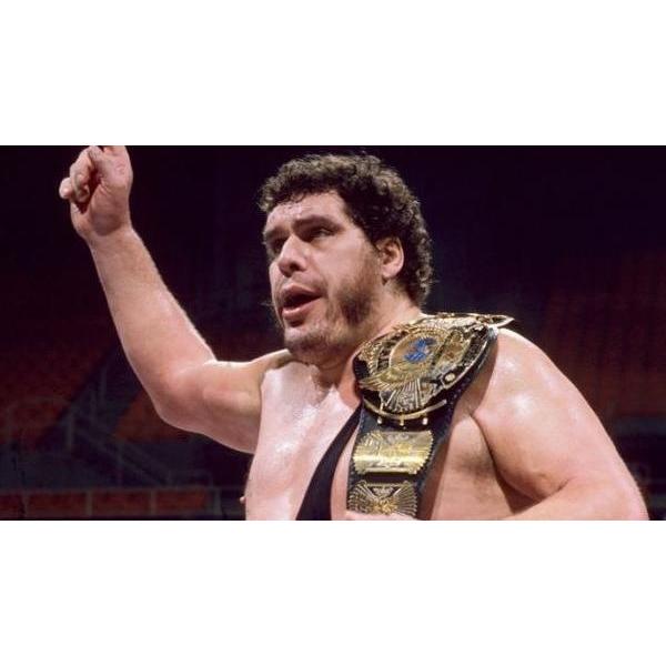 並行輸入品】“大巨人” アンドレ・ザ・ジャイアント Tシャツ「ANDRE THE