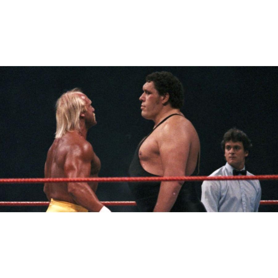 大巨人” アンドレ・ザ・ジャイアント Tシャツ「ANDRE THE GIANT The