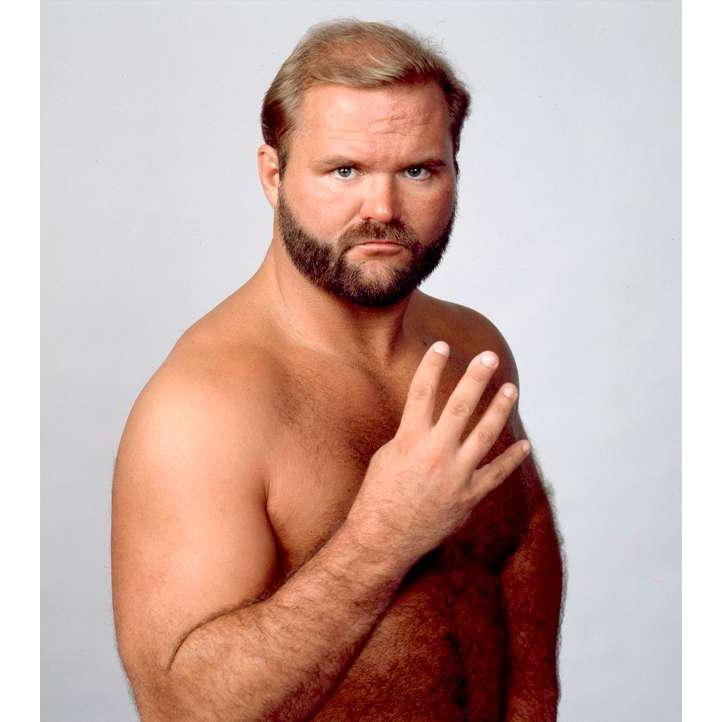 WCW ガルーブ社 プロレス 90年版 アーン・アンダーソン アーン・アンダーソン Tシャツ「ARN ANDERSON TV Title Tシャツ」 米直