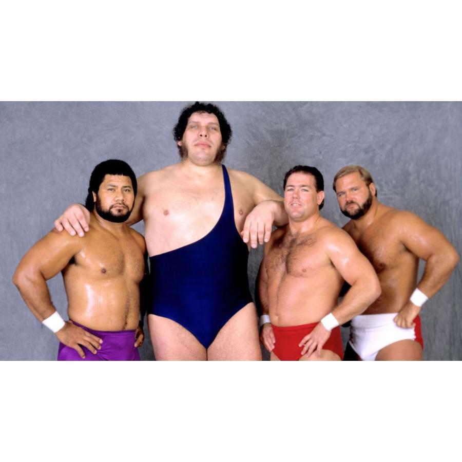 アーン・アンダーソン Tシャツ「ARN ANDERSON TV Title Tシャツ」 米直