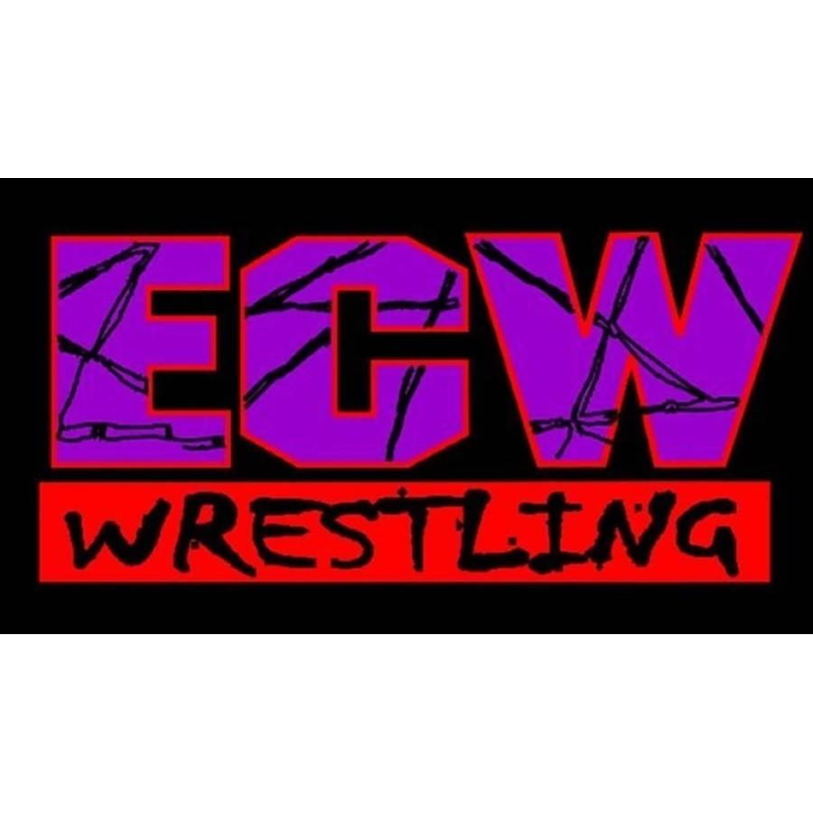 ブルー・ミーニー Tシャツ「BLUE MEANIE Barbed Wire bWo ロゴTシャツ（ブルー）」アメリカ直輸入プロレスTシャツ ECW WWE WCW｜freebirds｜04