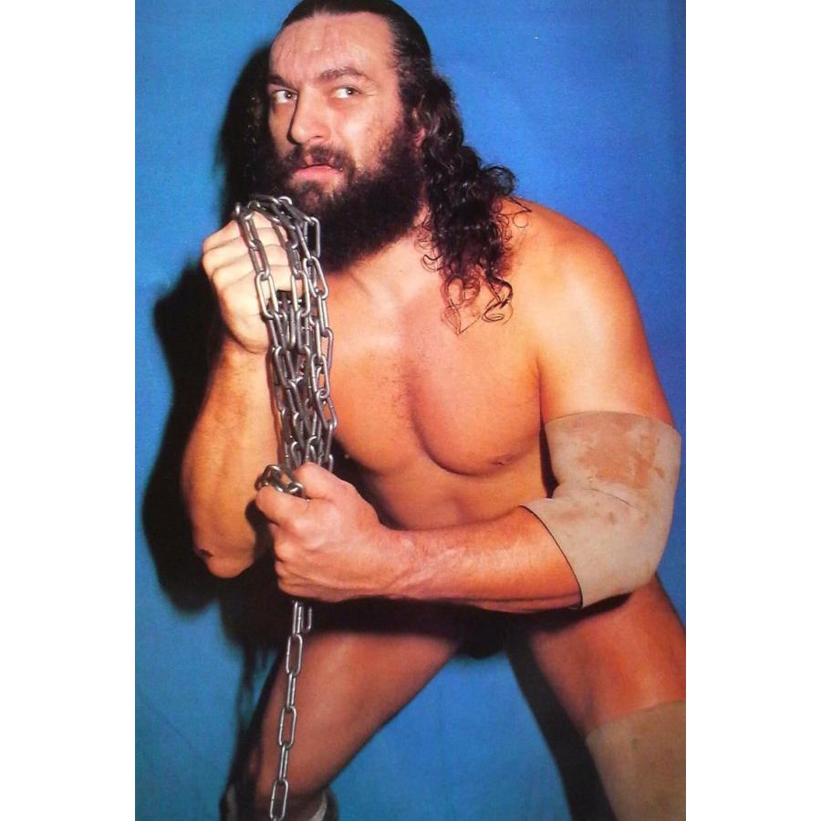 ブルーザー・ブロディ Tシャツ「BRUISER BRODY Bruiser Brody 2 絵画 T 
