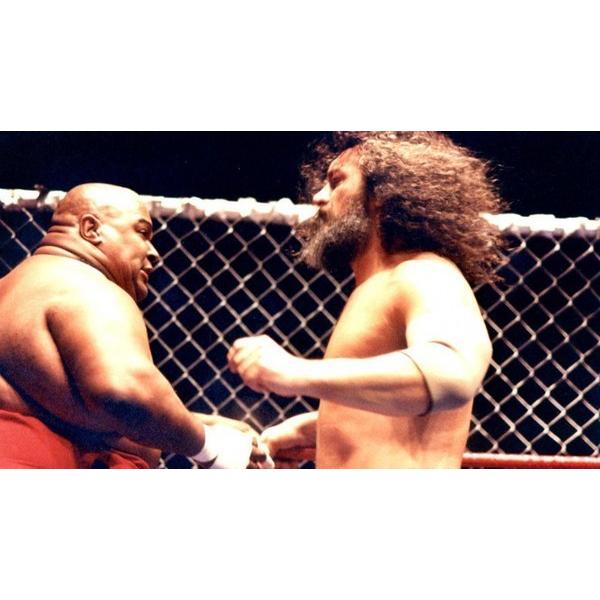 ブルーザー・ブロディ Tシャツ「BRUISER BRODY Bruiser Brody 2 絵画 T