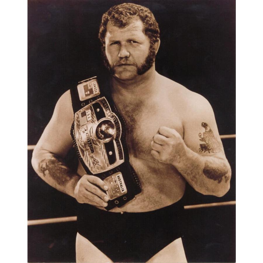 WWEクラシック10 ハーリーレイス WWE ハーリー・レイス クラシック