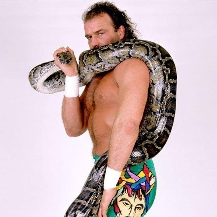 ジェイク・ザ・スネーク・ロバーツ　WWEクラシックスーパースター ジェイク・ザ・スネーク・ロバーツ WWEクラシックスーパースター