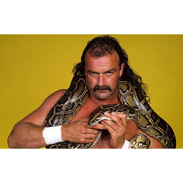 蛇男” ジェイク・ザ・スネーク・ロバーツ Tシャツ「JAKE 