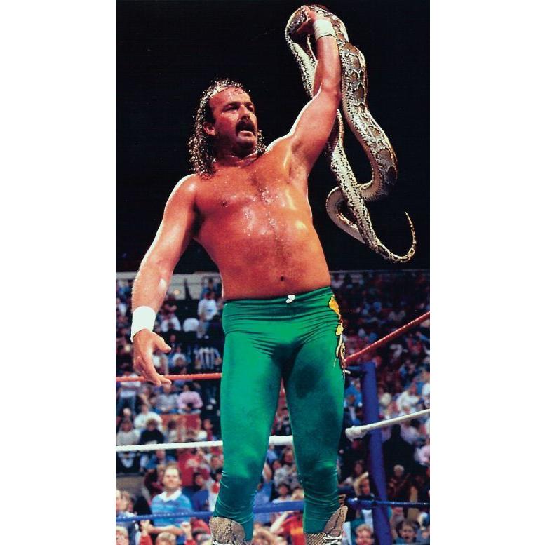 ジェイク・ザ・スネーク・ロバーツ　WWEクラシックスーパースター ジェイク・ザ・スネーク・ロバーツ WWEクラシックスーパースター
