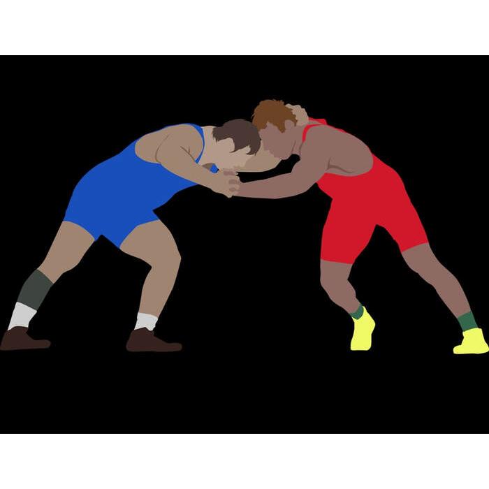 輸入品】LET'S WRESTLE レスリング柄 Tシャツ「アマレス RED vs BLUE