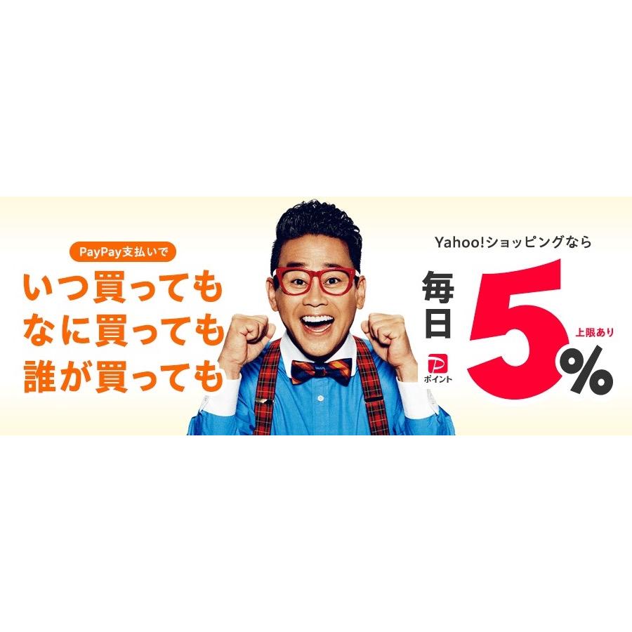 マイク・ベイリー Tシャツ「 マイク・ベイリー Tシャツ「