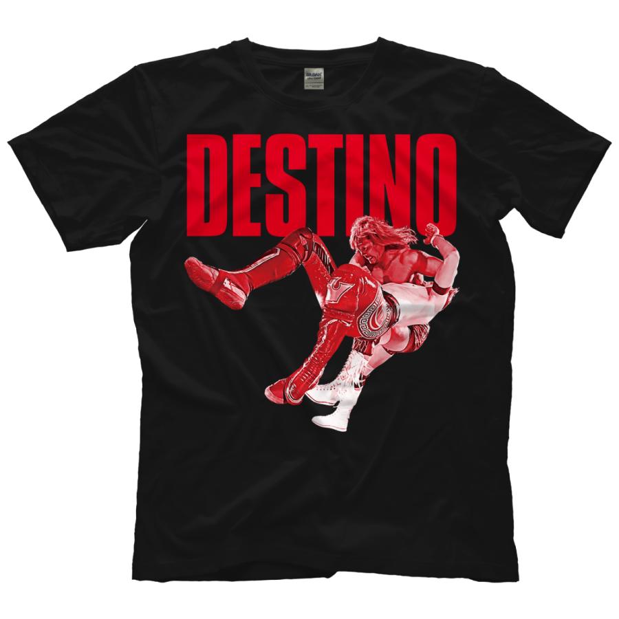 内藤哲也 新日本プロレス 海外生産 輸入Tシャツ「内藤哲也 Finishing 