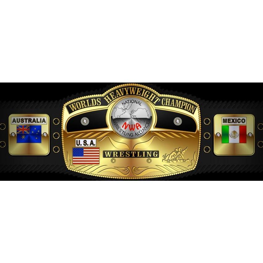 ファイヤーキング　アドマグ　NWAロゴ　2個セット　プロレス NWA Tシャツ「NWA（National Wrestling Alliance）NWA Globe ロゴ