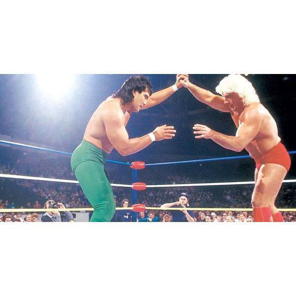 狂乱の貴公子” リック・フレアー ＆ “南海の黒豹” リッキー