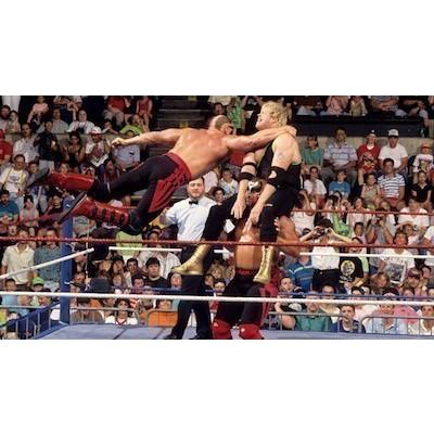 ロード・ウォリアーズ Tシャツ「THE ROAD WARRIORS Road Warriors