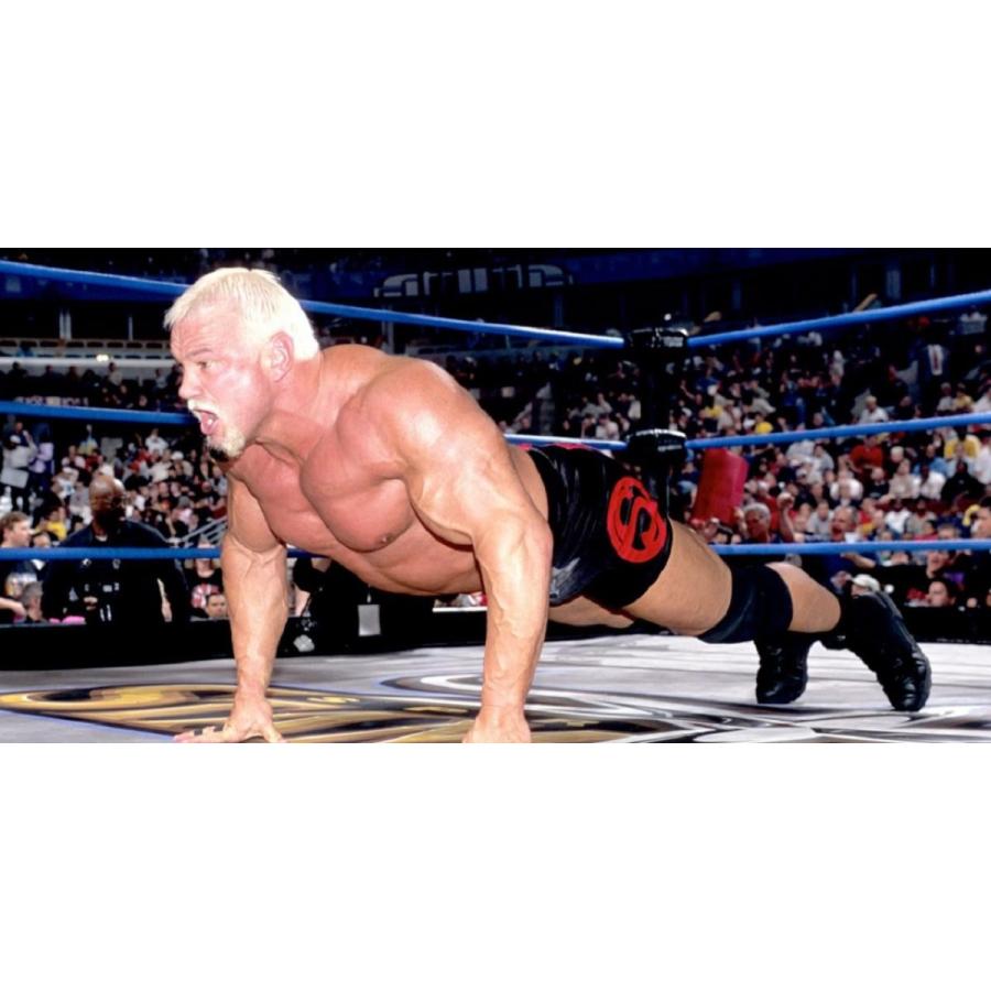 スコット・スタイナー Tシャツ「SCOTT STEINER Franken-Steiner II