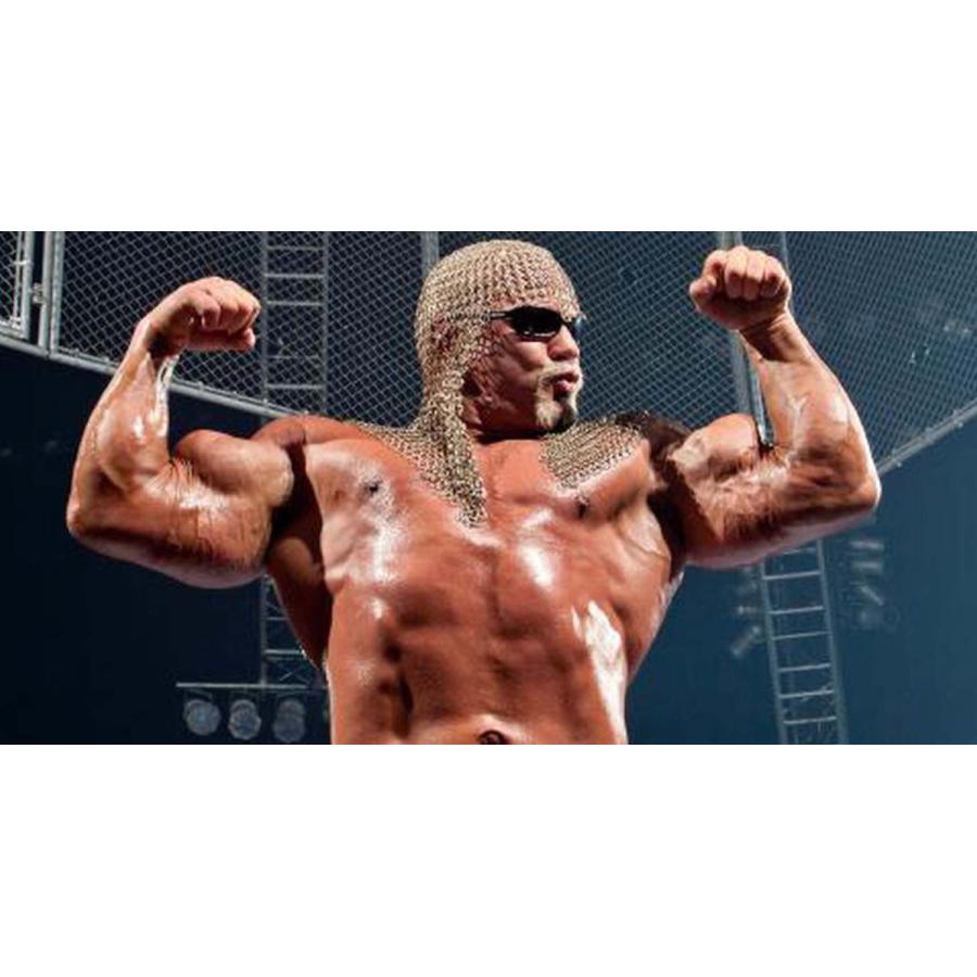 スコット・スタイナー Tシャツ「SCOTT STEINER Double Bicep ダブル