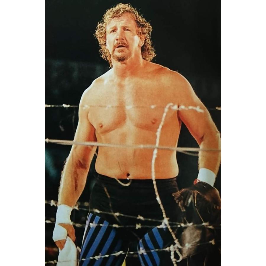 世界限定110個 テリーファンク フィギュア プロレス バリアント 完売品