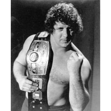 テキサスブロンコ” テリー・ファンク Tシャツ「TERRY FUNK Team Terry