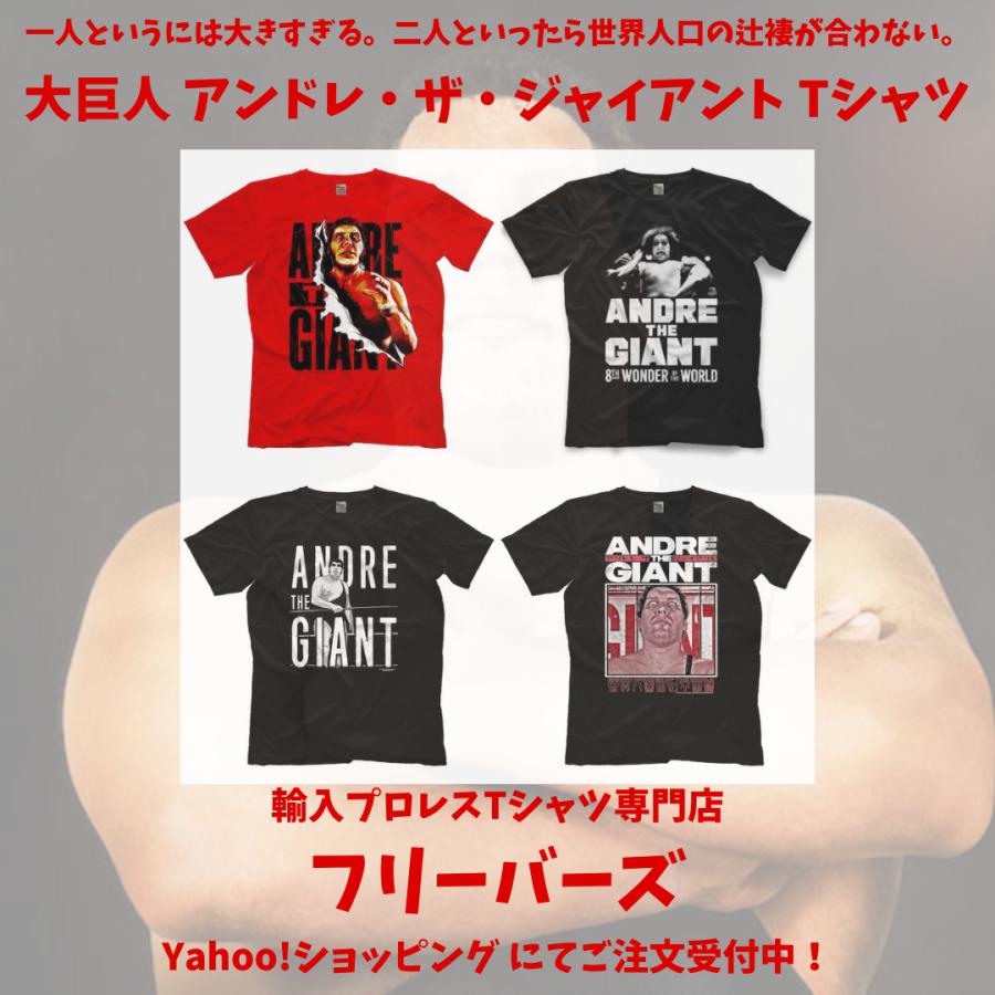 並行輸入品】“テキサスブロンコ” テリー・ファンク Tシャツ「TERRY