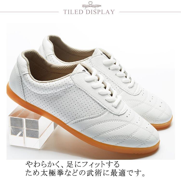 カンフーシューズ 武術靴 太極拳シューズ 通気性 ブラック