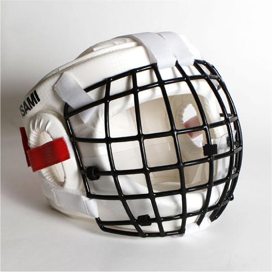 isami イサミ CKW-10D ヘッドガード用シールド（TN-100用） 面ガード