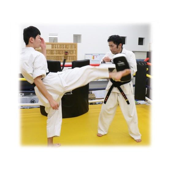 本命ギフト Isami イサミ Fs 12 キックミットts 格闘技 武道 空手 キックボクシング 総合格闘後 Cisama Sc Gov Br