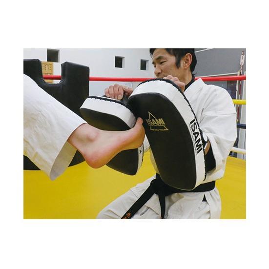 本命ギフト Isami イサミ Fs 12 キックミットts 格闘技 武道 空手 キックボクシング 総合格闘後 Cisama Sc Gov Br